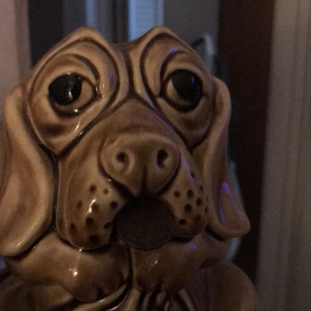 Meet your Posher, Bea